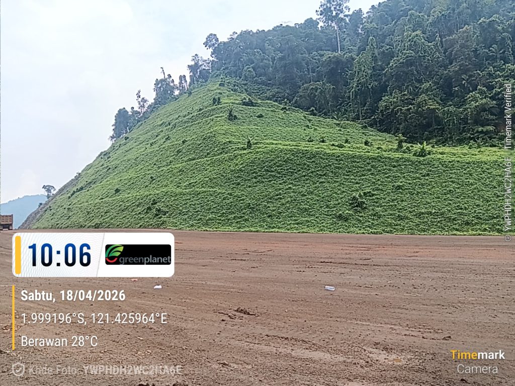 Hasil revegetasi lereng setelah aplikasi hydroseeding Green Planet