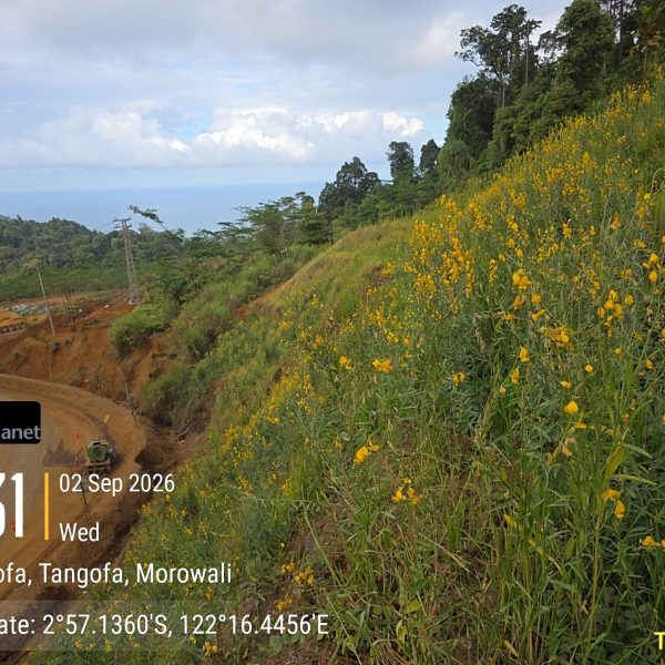 Hasil Hydroseeding